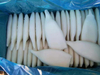 鱿鱼管