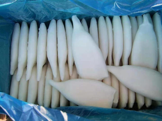 鱿鱼管