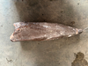 冷冻油鱼滑皮（Lepidocybium flavobrunneum）